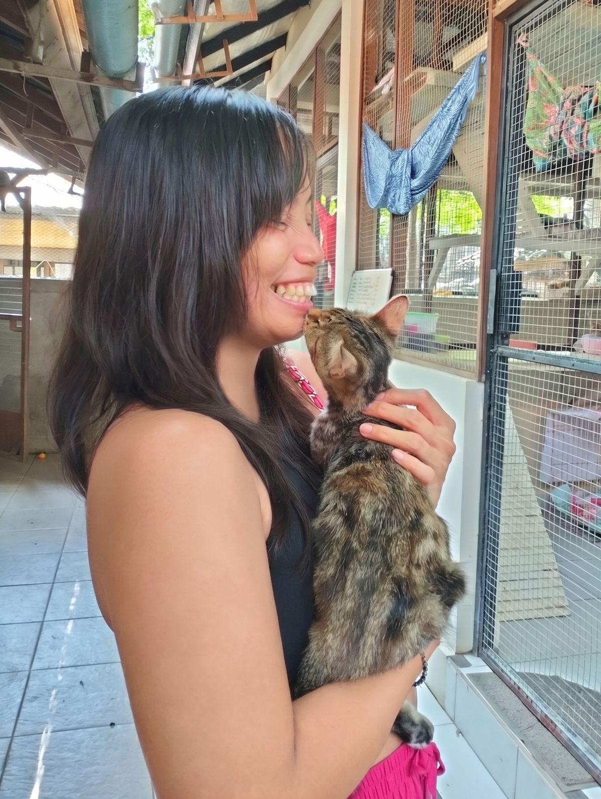 Diane caring for a cat at sanctuary